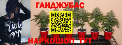 каннабис Кингисепп