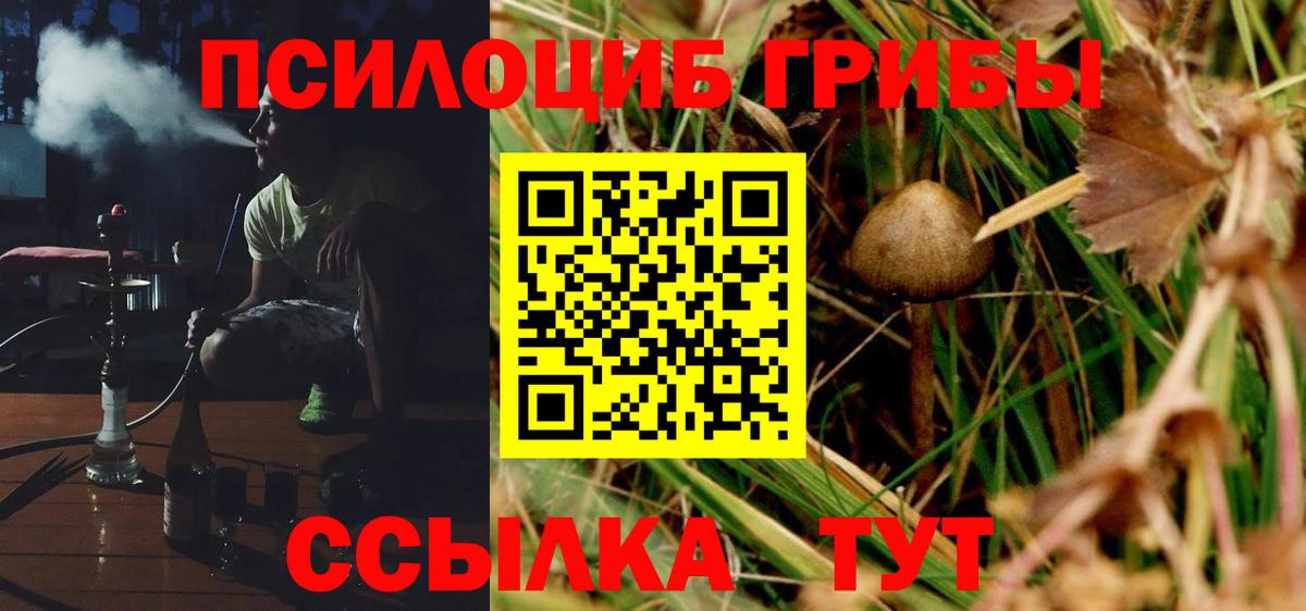 Котовск  Псилоцибиновые грибы GOLDEN TEACHER  закладка  Вход с VPN 
